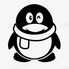5位QQ