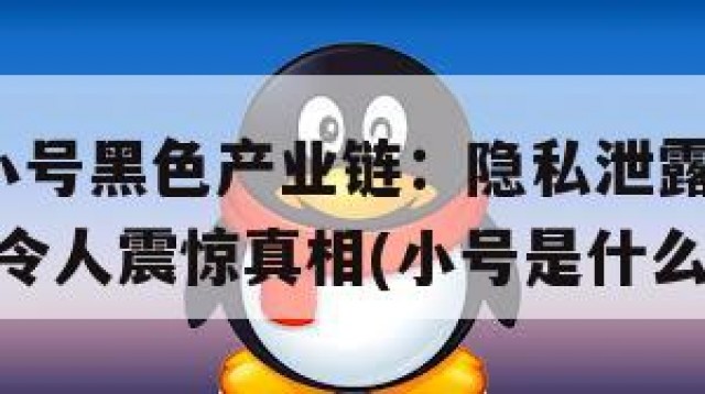 揭秘QQ小号黑色产业链：隐私泄露、网络欺诈背后的令人震惊真相(小号是什么)
