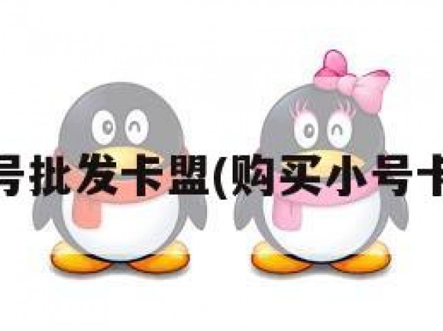 qq号批发卡盟(购买小号卡盟)