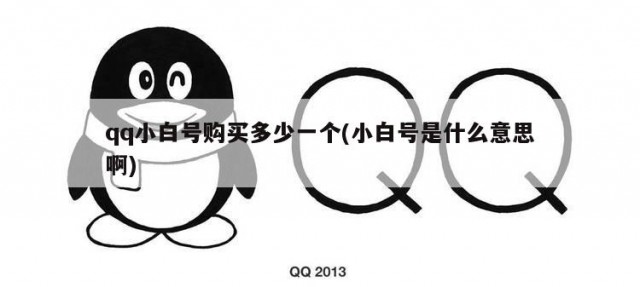 qq小白号购买多少一个(小白号是什么意思啊)