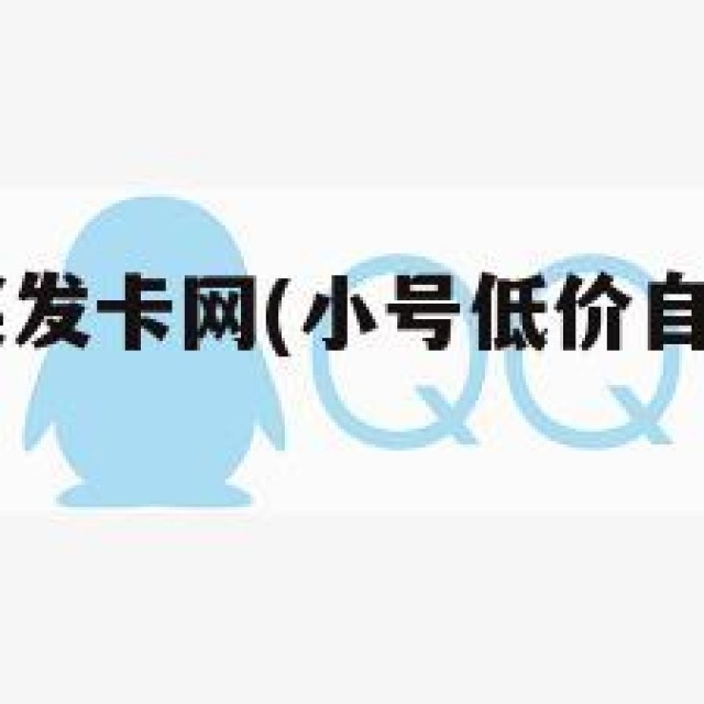 qq小号购买发卡网(小号低价自动发卡网支付)
