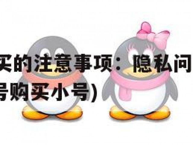 QQ小号购买的注意事项：隐私问题与诈骗风险并存(账号购买小号)