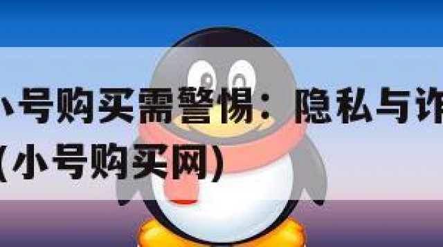 国内QQ小号购买需警惕：隐私与诈骗风险的双重考量(小号购买网)