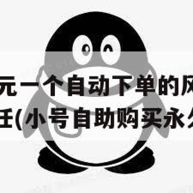 全新QQ号2元一个自动下单的风险：隐私保护与法律责任(小号自助购买永久)