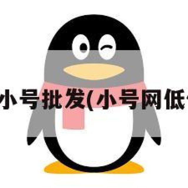 三无直登小号批发(小号网低价发卡网)